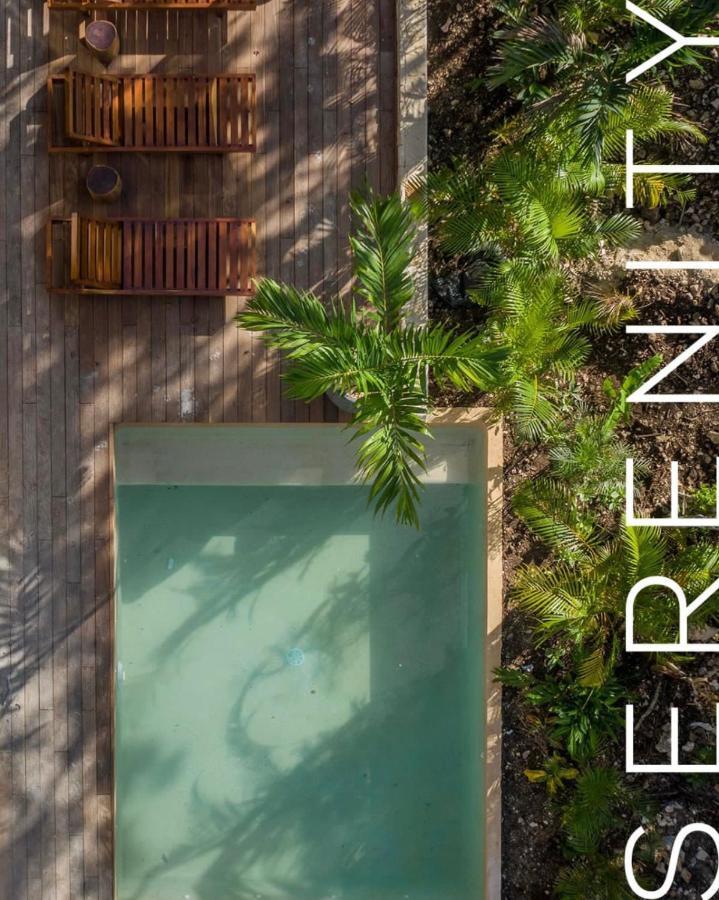 Villa Xuncari En El Corazon De La Selva Tulum Exteriér fotografie